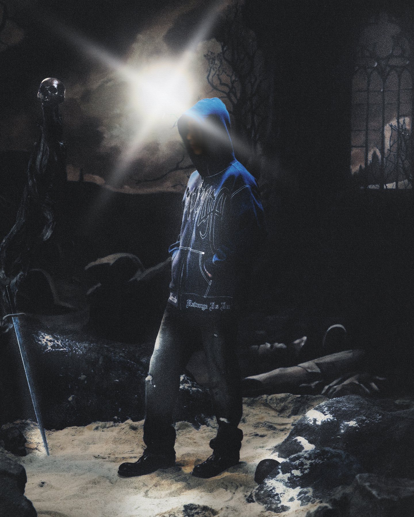 Visual Works for Revenge