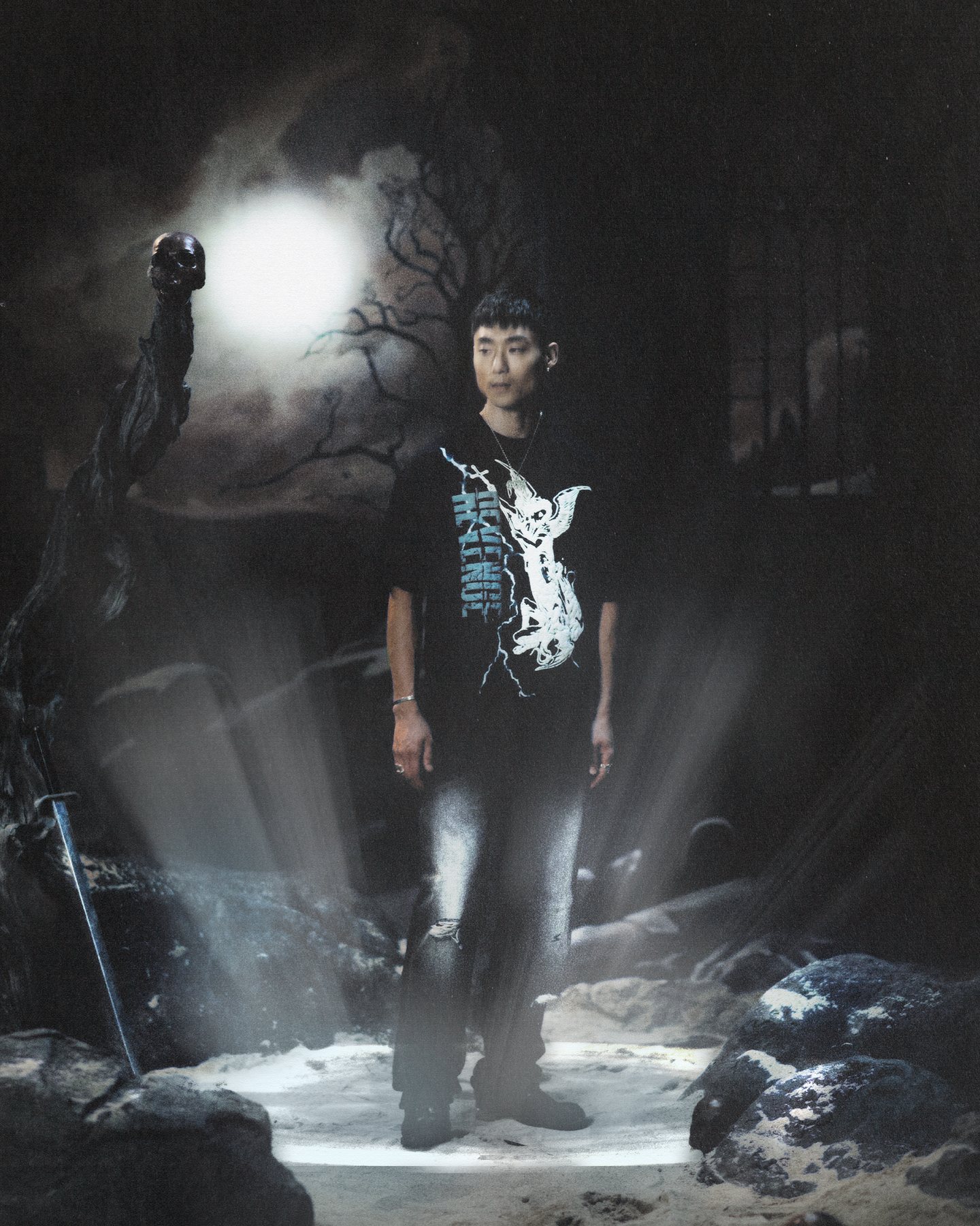 Visual Works for Revenge
