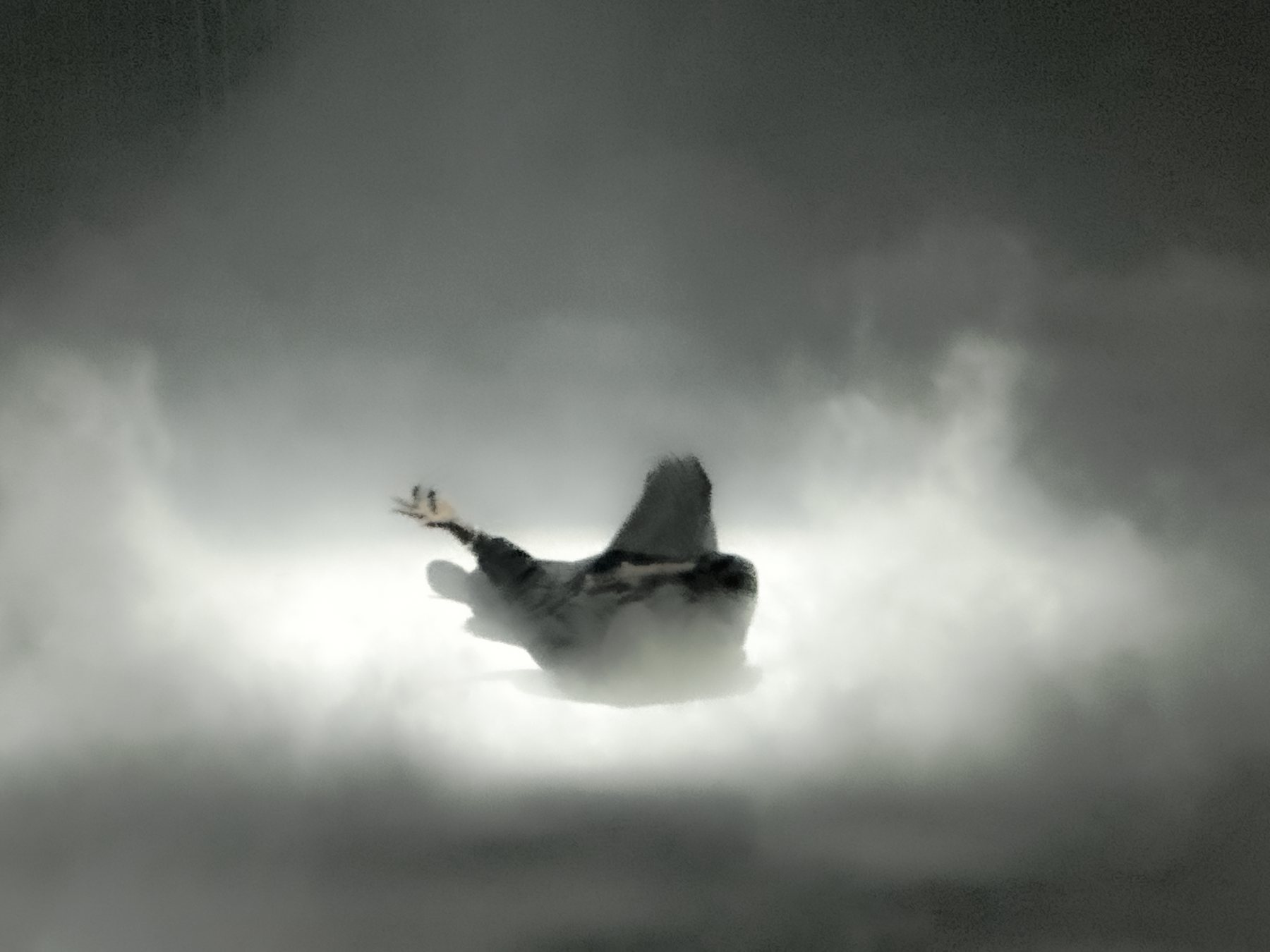 Ye Vultures LP 2